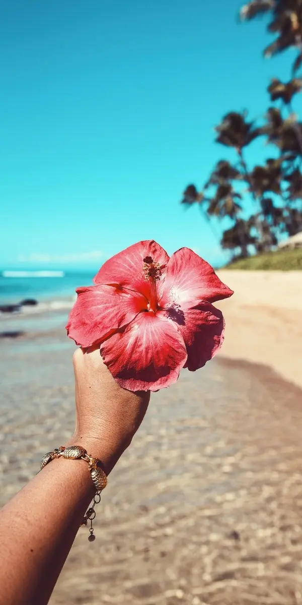 Flower in hand